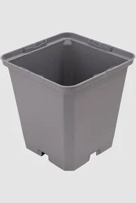 Topf 9x9cm </br> zur Wishlist hinzugefügt